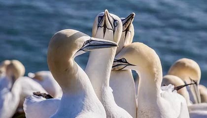 开云体育官方入口-【比赛总结】胜负背后隐藏的战术智慧，比赛有胜负的下一句